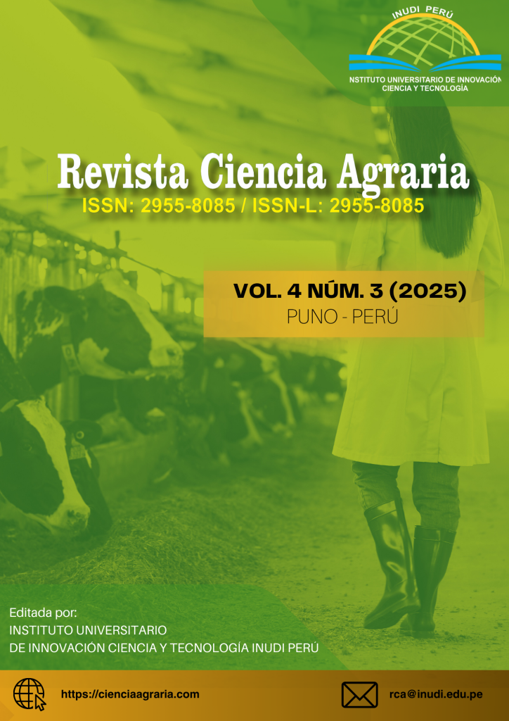 cover issue 10 es